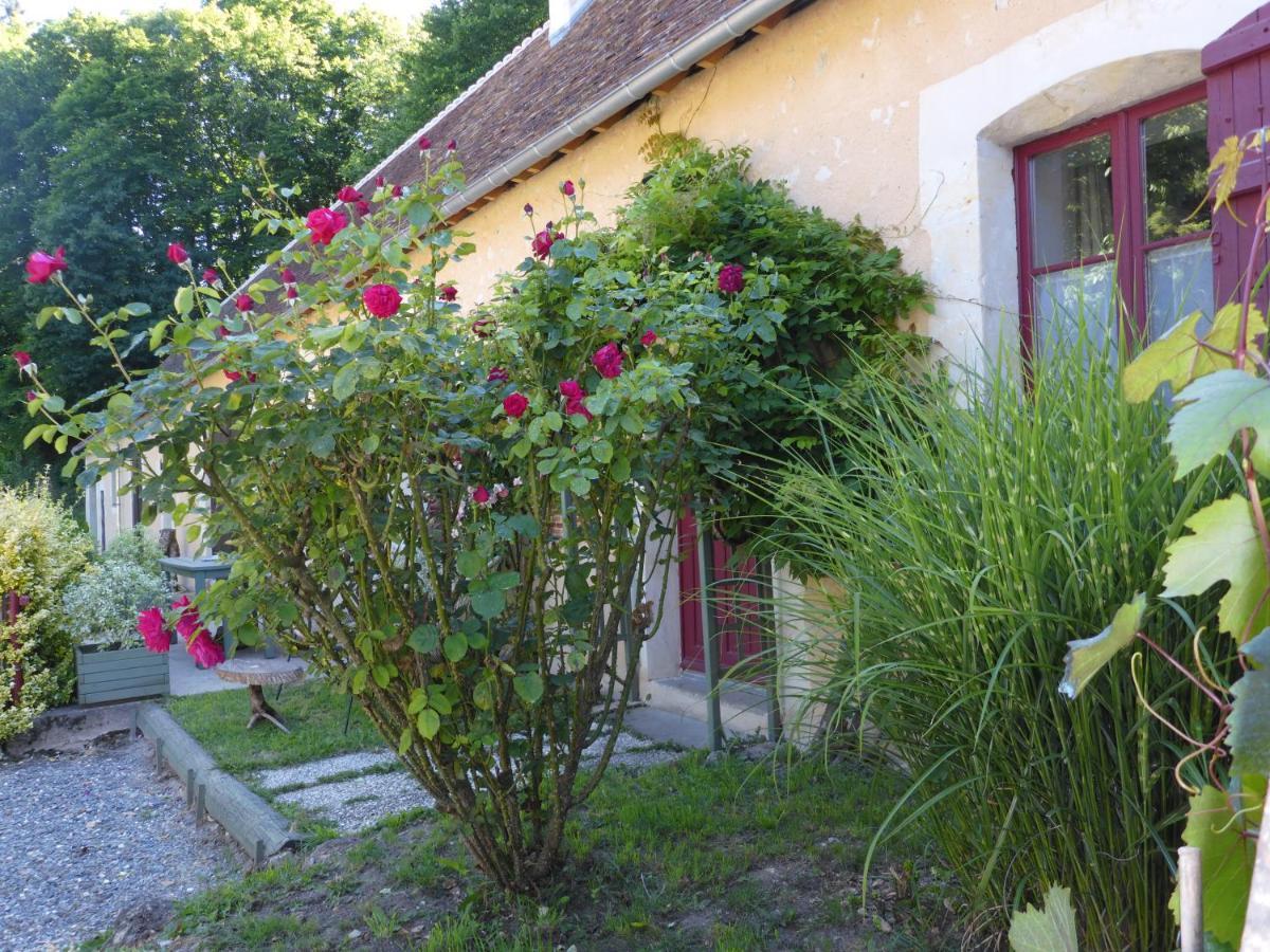 La Petite Bardouillere Villa Courdemanche  Exterior photo